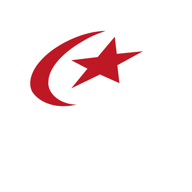 Saracens